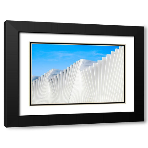 Il Ventaglio Black Modern Wood Framed Art Print with Double Matting by Della Latta, Massimo