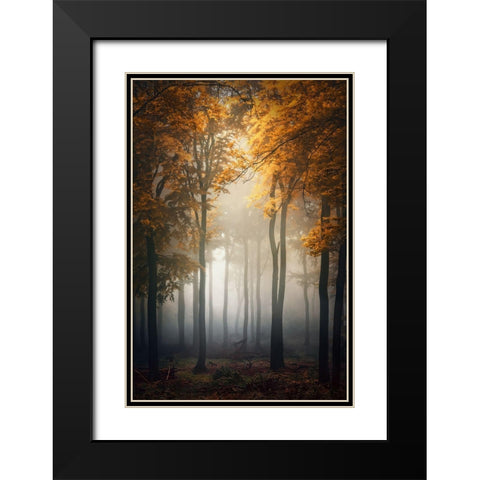 Fall Black Modern Wood Framed Art Print with Double Matting by Aurednik, Patrick