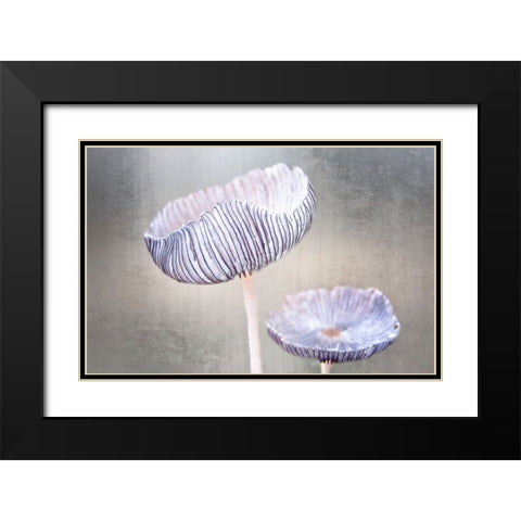Mushroom Black Modern Wood Framed Art Print with Double Matting by Cseresnjes, Anna
