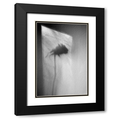 Rose Black Modern Wood Framed Art Print with Double Matting by Walla, Marta