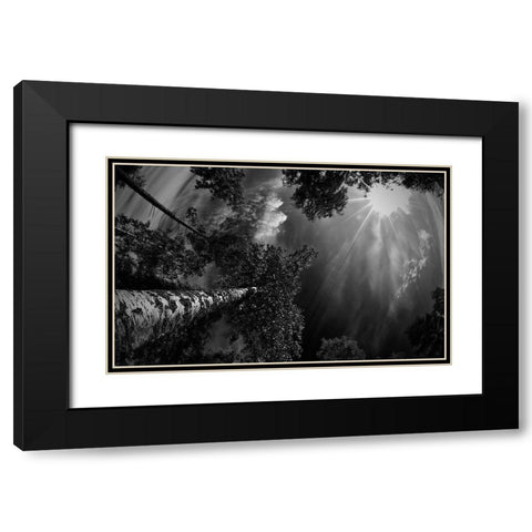 Dreaming Before The Thunder Black Modern Wood Framed Art Print with Double Matting by Jigmo, Mikael