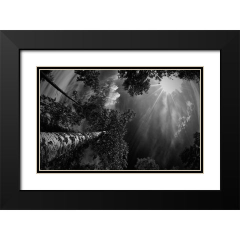 Dreaming Before The Thunder Black Modern Wood Framed Art Print with Double Matting by Jigmo, Mikael