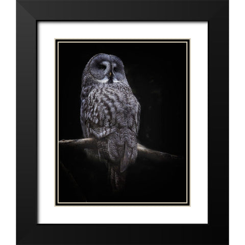 Owl Black Modern Wood Framed Art Print with Double Matting by Cseresnjes, Anna