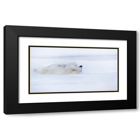 Shy Black Modern Wood Framed Art Print with Double Matting by Chang, Phillip