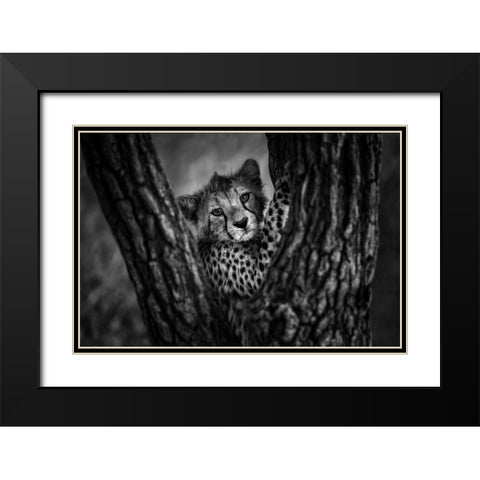 Centered Black Modern Wood Framed Art Print with Double Matting by Alnaser, Mohammed