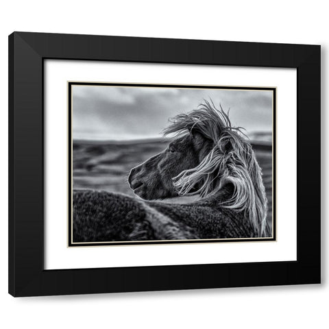 Glance Back Black Modern Wood Framed Art Print with Double Matting by Ding, Sunny