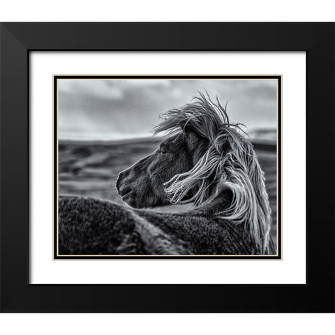 Glance Back Black Modern Wood Framed Art Print with Double Matting by Ding, Sunny