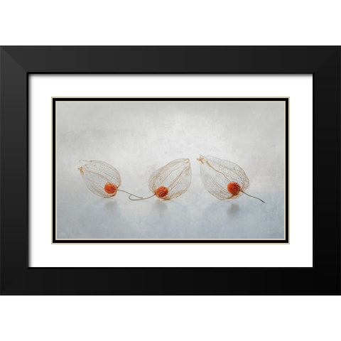 Chinese Lantern Black Modern Wood Framed Art Print with Double Matting by Veenstra, Ytje
