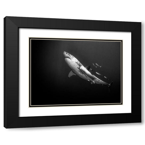 The Great One Black Modern Wood Framed Art Print with Double Matting by Melesan, Serge