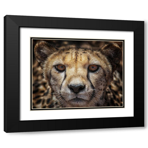 You Know What-I See Your Car Black Modern Wood Framed Art Print with Double Matting by Guillemot, Mathilde