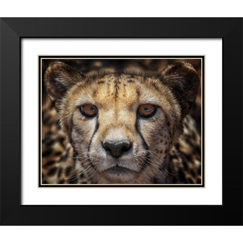 You Know What-I See Your Car Black Modern Wood Framed Art Print with Double Matting by Guillemot, Mathilde