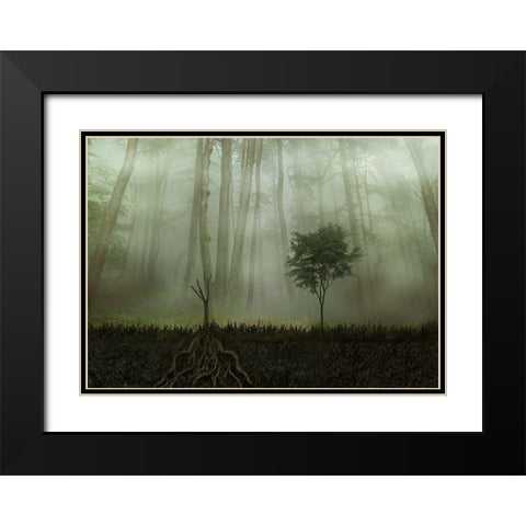 Root 2 Black Modern Wood Framed Art Print with Double Matting by Golchin, Aryana