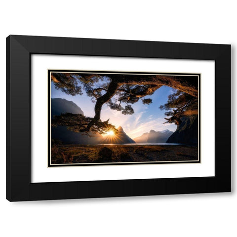 Sunny Day In Milford Sound Black Modern Wood Framed Art Print with Double Matting by Zhu, Jingshu