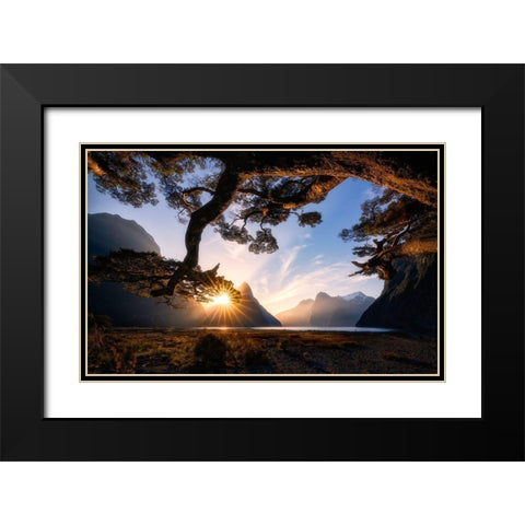 Sunny Day In Milford Sound Black Modern Wood Framed Art Print with Double Matting by Zhu, Jingshu
