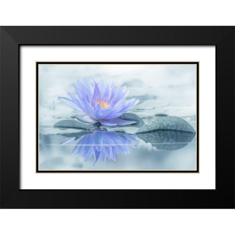 Reflection Black Modern Wood Framed Art Print with Double Matting by Suzuki, Takashi