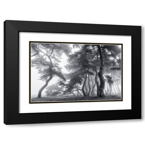 Endure For A Hundred Years Black Modern Wood Framed Art Print with Double Matting by Seo, Tiger