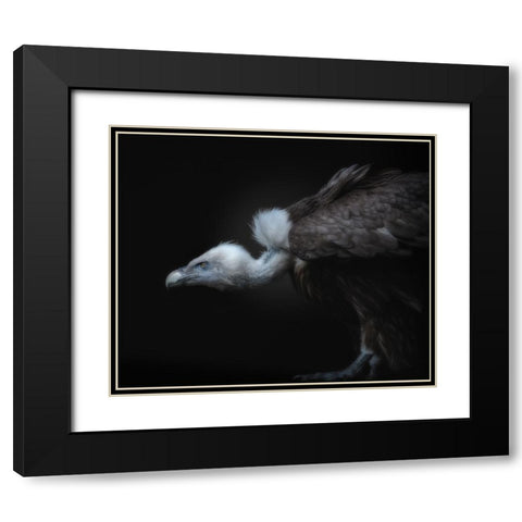 Targeted Black Modern Wood Framed Art Print with Double Matting by Kamera