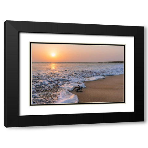 Green Turtle Black Modern Wood Framed Art Print with Double Matting by Al Farsi, Haitham
