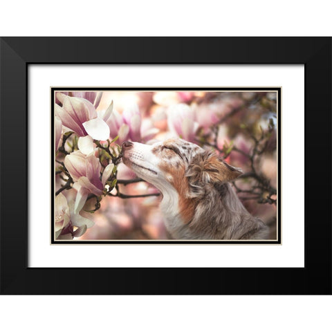 Dawn Of Blossom Black Modern Wood Framed Art Print with Double Matting by Shandor, Ve