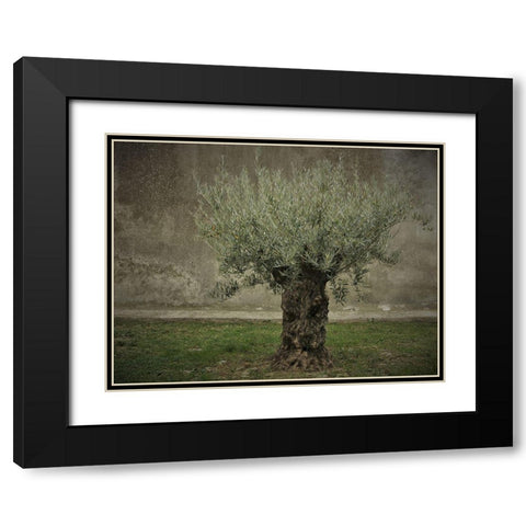 Olive Black Modern Wood Framed Art Print with Double Matting by Irmawarth