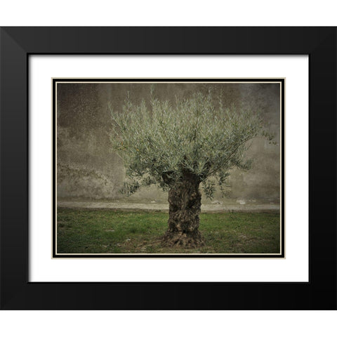 Olive Black Modern Wood Framed Art Print with Double Matting by Irmawarth