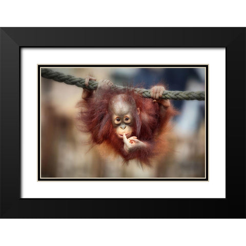 The Big Query Black Modern Wood Framed Art Print with Double Matting by Wenner-Braun, Antje