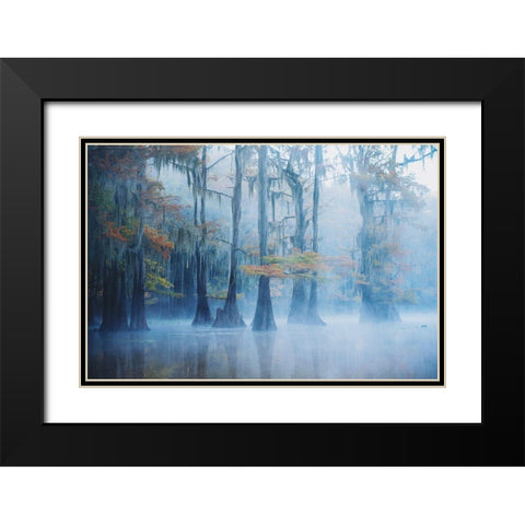 Foggy Swamp Morning Black Modern Wood Framed Art Print with Double Matting by H., Aijing