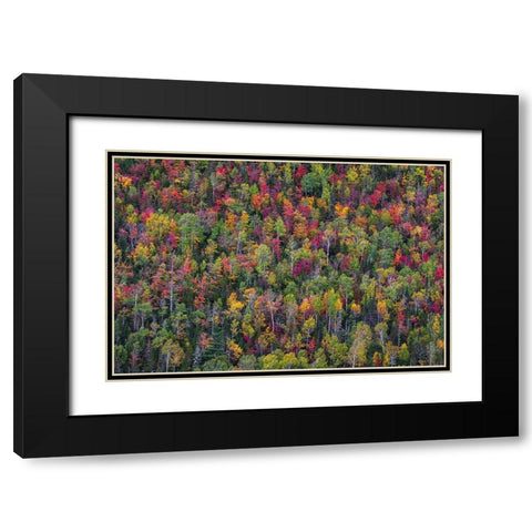 Color Palette Black Modern Wood Framed Art Print with Double Matting by Miroslaw
