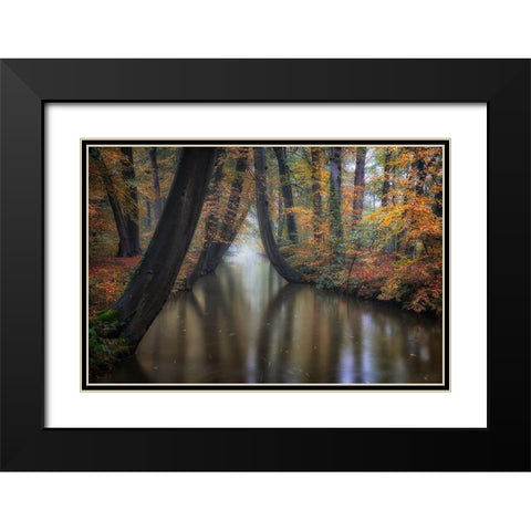 Enchanted Autumn Black Modern Wood Framed Art Print with Double Matting by Carozzi, Fiorenzo