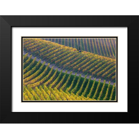 Vineyards Black Modern Wood Framed Art Print with Double Matting by Carozzi, Fiorenzo