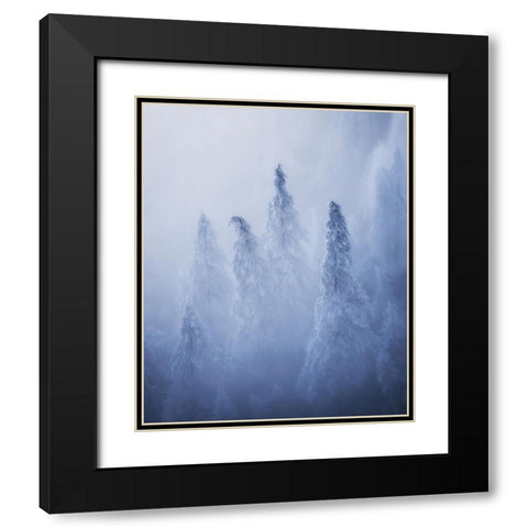 Ghosts Black Modern Wood Framed Art Print with Double Matting by Krivec, Ales