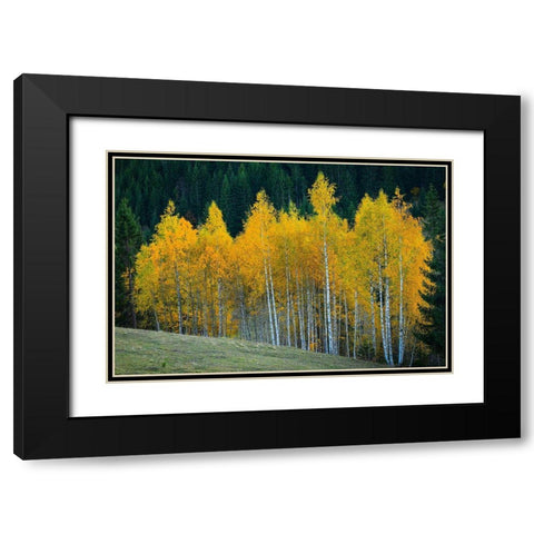 Autumn Black Modern Wood Framed Art Print with Double Matting by Hamiti, Bess