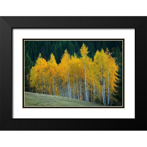 Autumn Black Modern Wood Framed Art Print with Double Matting by Hamiti, Bess