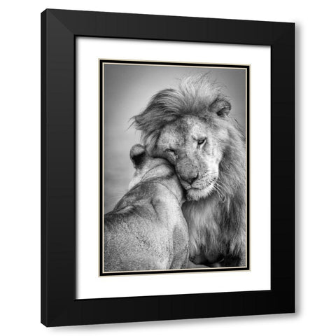 African Love! Black Modern Wood Framed Art Print with Double Matting by Khataw, Ali