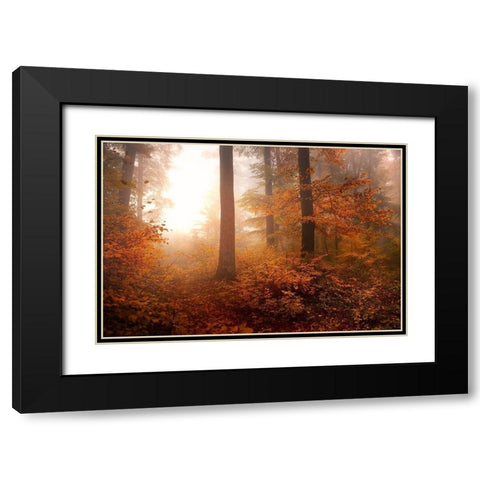 Autumn Black Modern Wood Framed Art Print with Double Matting by Irmawarth