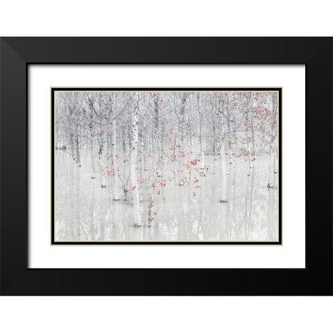 Red A White Black Modern Wood Framed Art Print with Double Matting by Carozzi, Fiorenzo