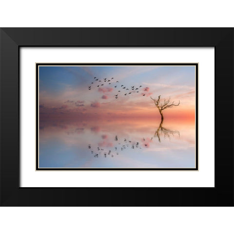 S.T. 006 Black Modern Wood Framed Art Print with Double Matting by Gray, Dorian