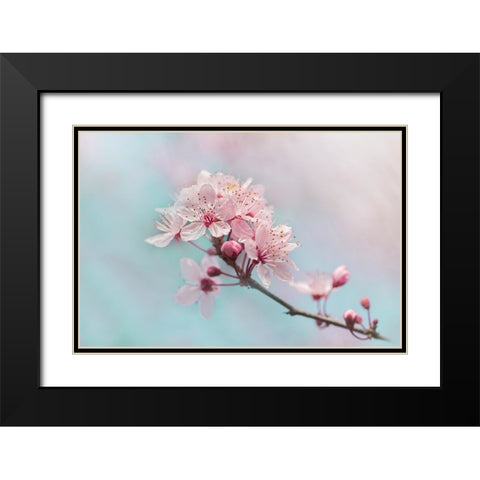 Fresh Black Modern Wood Framed Art Print with Double Matting by Parker, Jacky