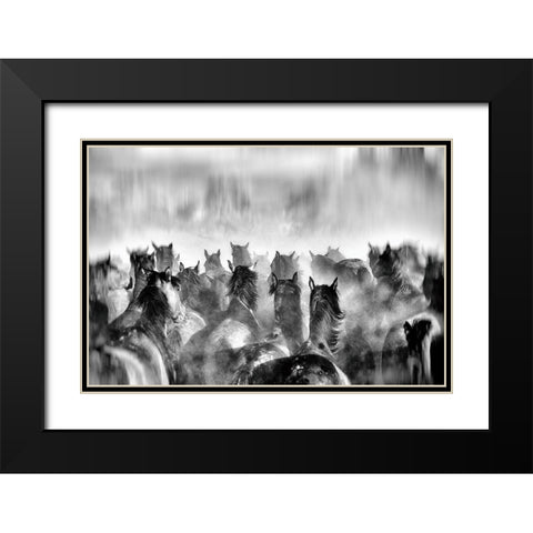 Horses Black Modern Wood Framed Art Print with Double Matting by Mete, Gilcan