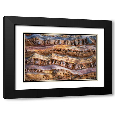 Abstractions In Nature Black Modern Wood Framed Art Print with Double Matting by Dingemans, Saskia