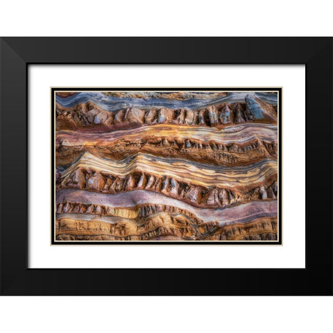 Abstractions In Nature Black Modern Wood Framed Art Print with Double Matting by Dingemans, Saskia