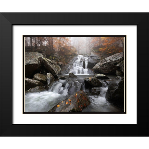 Autumn Fog Black Modern Wood Framed Art Print with Double Matting by Tavani, Francesco