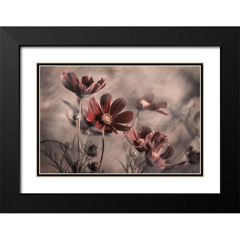 Cosmos 2019 Black Modern Wood Framed Art Print with Double Matting by Bravin, Fabien