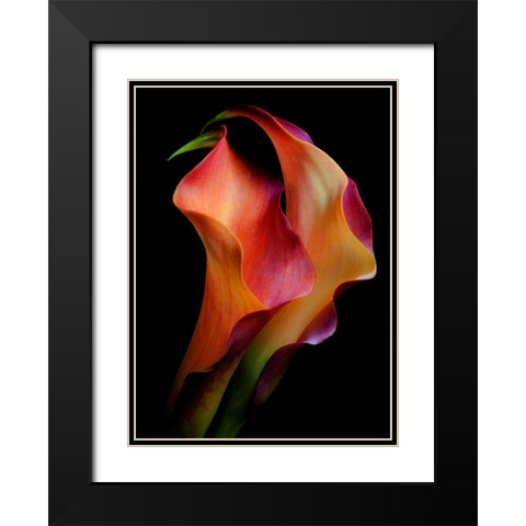Tenderness Black Modern Wood Framed Art Print with Double Matting by Kinney, Jon
