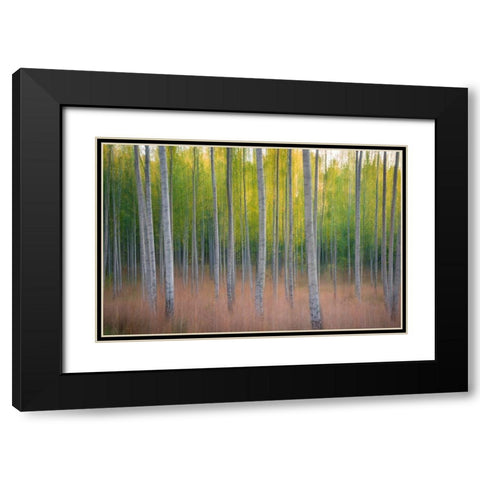 Intentional Camera Movement Black Modern Wood Framed Art Print with Double Matting by Lindsten, Christian