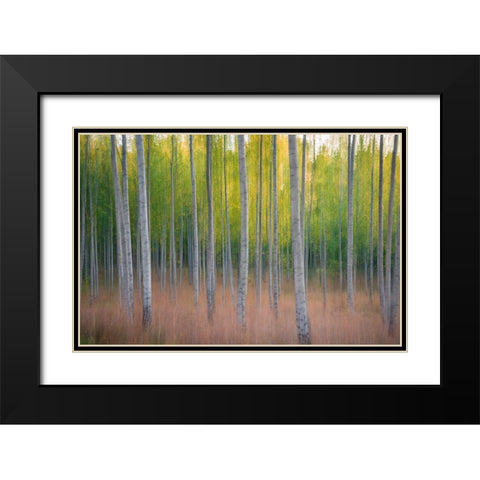 Intentional Camera Movement Black Modern Wood Framed Art Print with Double Matting by Lindsten, Christian