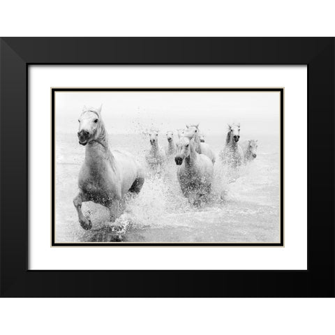 We Are Coming Black Modern Wood Framed Art Print with Double Matting by Zvelebil Phd, Marketa