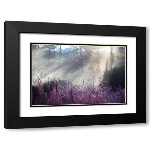Spring Black Modern Wood Framed Art Print with Double Matting by Thanh Tung, Nguyen