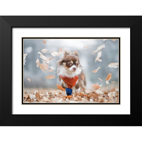 Meme Black Modern Wood Framed Art Print with Double Matting by Suzuki, Takashi