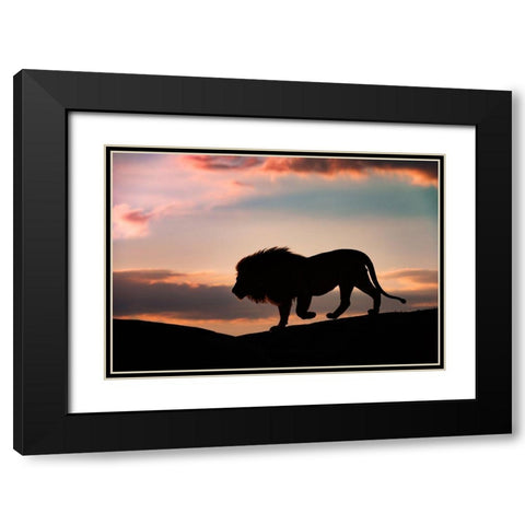 Sunset In The Serengeti Black Modern Wood Framed Art Print with Double Matting by Vigo, Mario